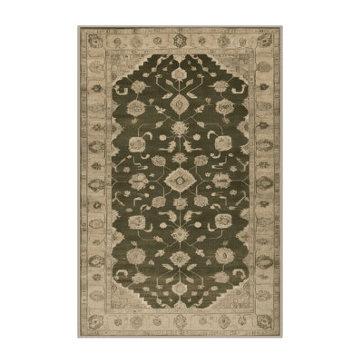 Machine Washable Overdyed Brown Area Rug