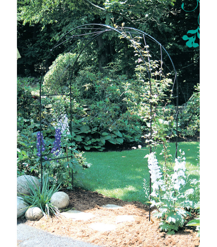 152cm W x 53cm D Steel Arbour in Black