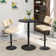 Swivel Adjustable Height Bar Stools with Footrest and Thick Cushion Curved Backrest(Set of 2)