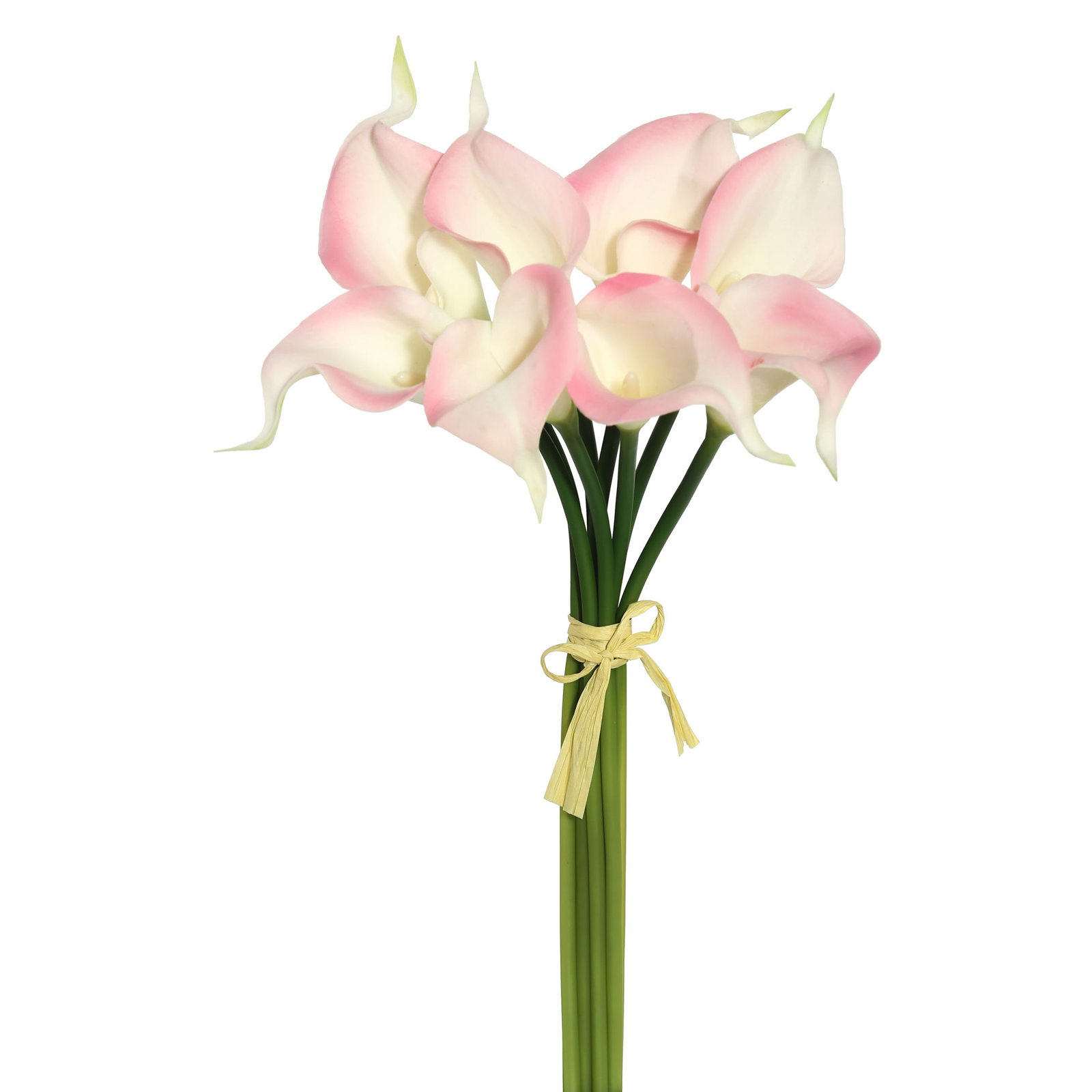 Paraiso Calla Lily Stems, Pink