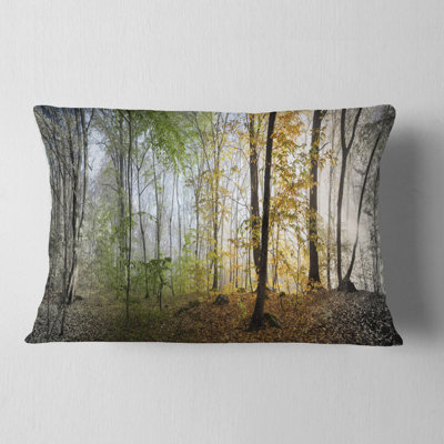 Morning Forest Panoramic View - Landscape Printed Throw Pillow