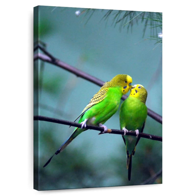 Brampt Kissing Parakeets, 45" H x 30" W