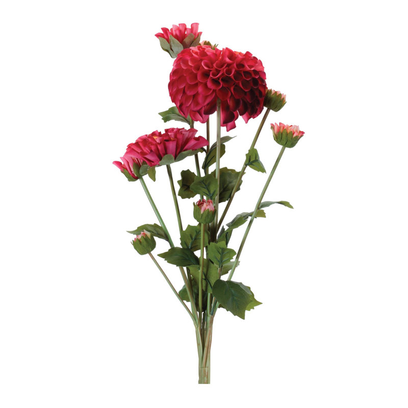 Ensemble de fleurs Zinnia (ensemble de 2), Rouge, vert