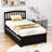 Twin Size Platform Bed with Trundle and Headboard-1108293108