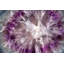 Wrapped Canvas Print-52988430