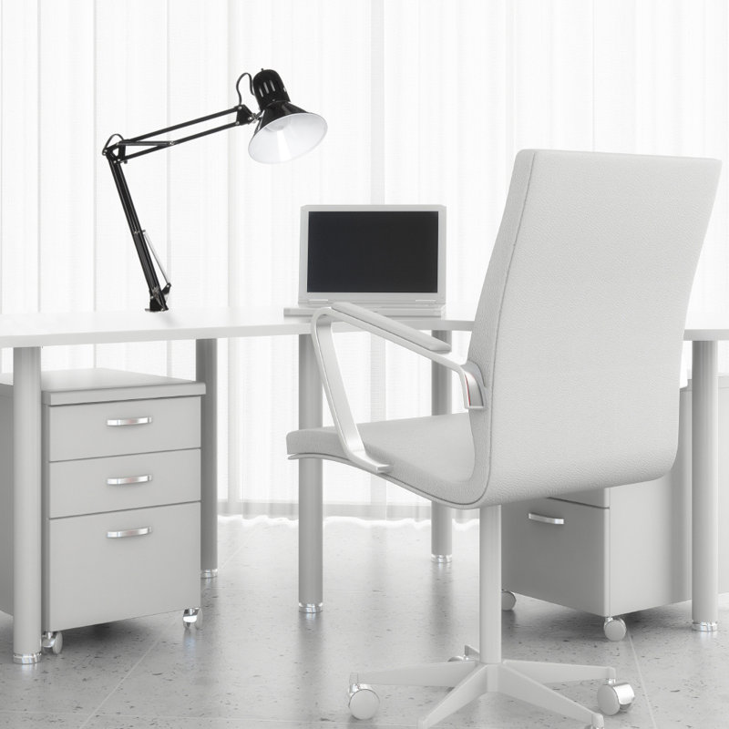 Hemal Adjustable Metal Desk Lamp Lamp