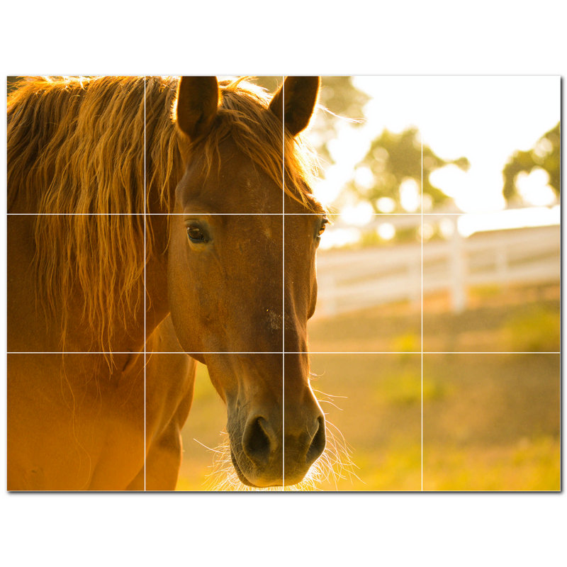 Photo de cheval 4,25 x 4,25