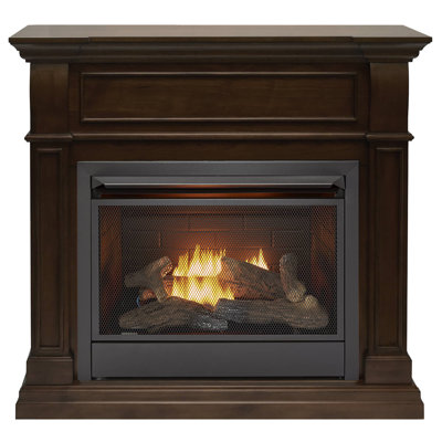 Zellmer 44'' W Ventless Fireplace