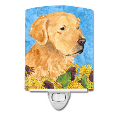 Cairn Terrier in Summer Flowers Ceramic Night Light