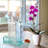 Embossed Cork-stoppered Glass Vase Set
