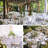 6 Pack White Round Tablecloth, 120 Inch Round Table Cloth Polyester Fabric Washable Table Covers