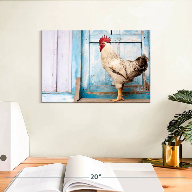Coq domestique Crowle, H 8 po x l 12 po