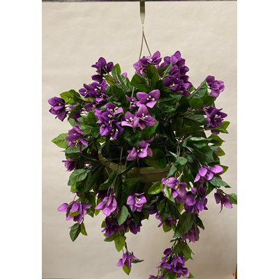 Panier suspendu en pot Bouginvillia