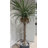 92'' Faux Dragon Tree Tree