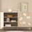 Floral shoe cabinet side cabinet 18 Pair Shoe Storage Cabinet
