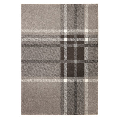 Plaid Hand Woven Area Rug