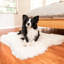  Tapis classique Puprug-1257351642-1269633938
