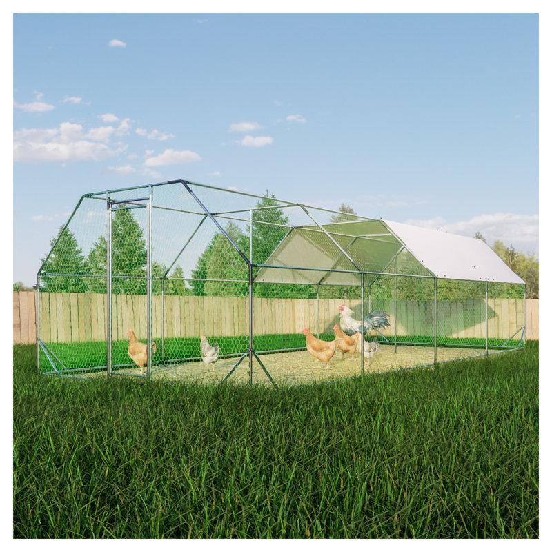 9.94 ft. x 25.68 ft. Galvanized Walk-In Metal Chicken Coop