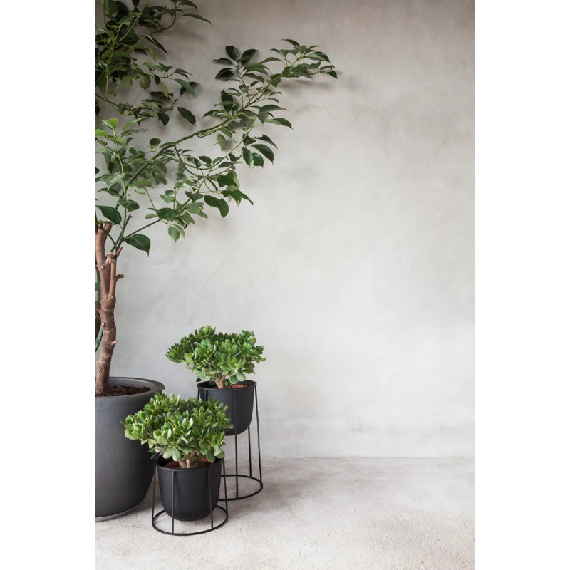 Audo Menu Wire Base (comp) 60cm X 23cm - Large, Black