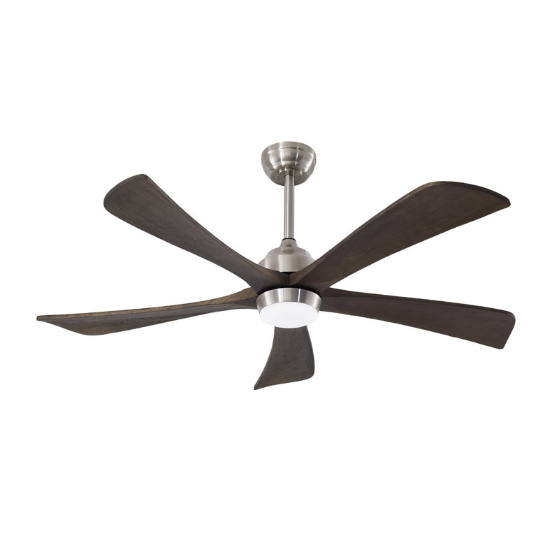 52" Modern DC Motor Ceiling Fan with Light, Stain Nickel Finish & Solid Wood Blades, Quiet Reversible Indoor Fan for Living Room and Bedroom