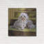 «Maltese» par Barbara Keith-1028036168