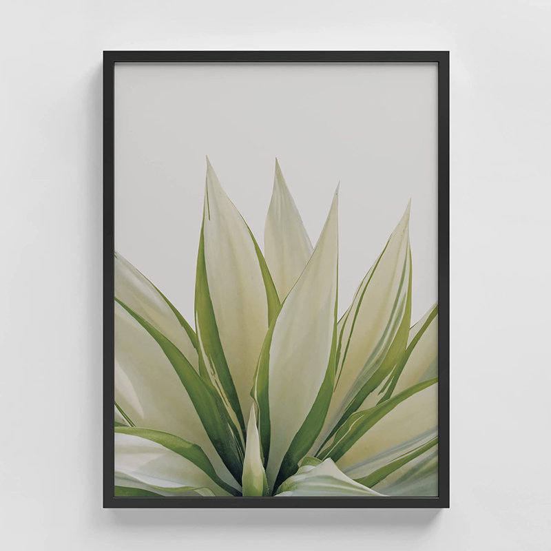 Feuille vert clair sur fond blanc - Photographie avec cadre photo, Noir