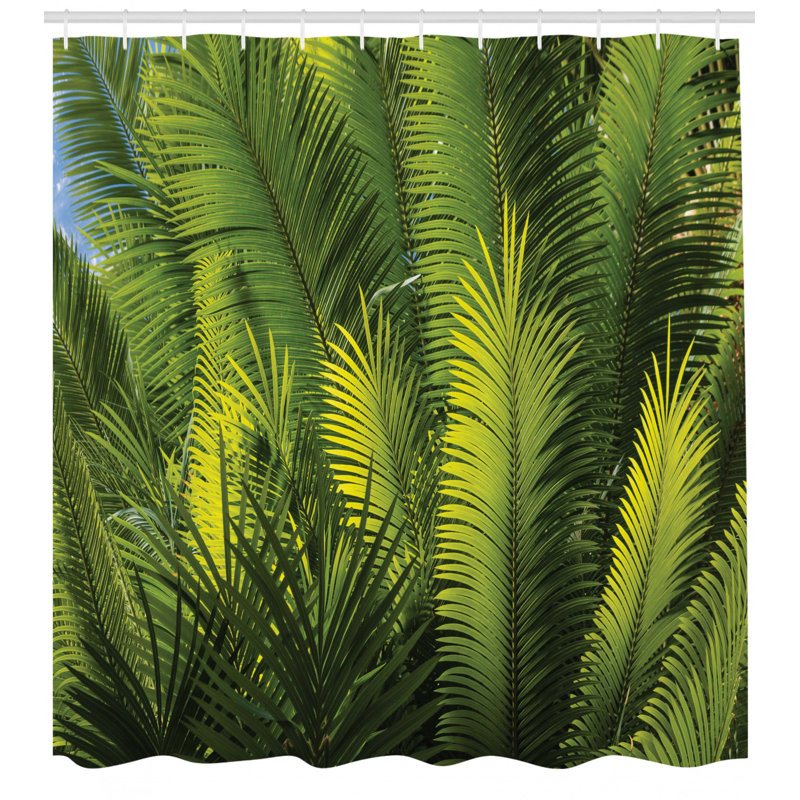 Ensemble de rideau de douche James-Martin Palmier, H 70 po x l 69 po