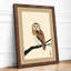 Watchful Barn Owl Japandi - Framed Print-740475677-740475673