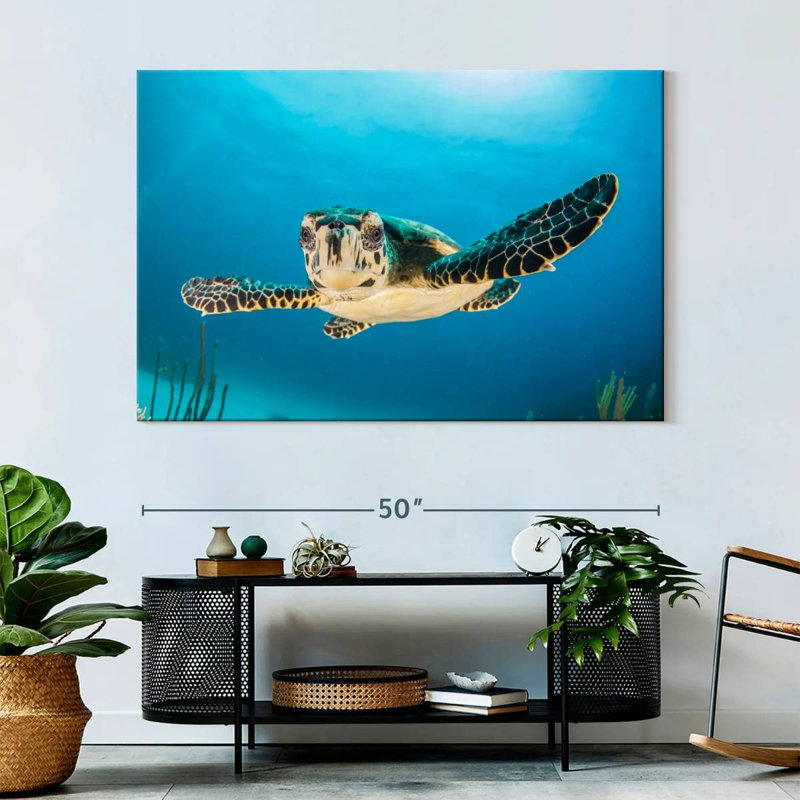 Tortue sous-marine Brampt, H 34 po x l 51 po