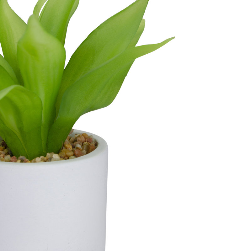 Nordic Green Artificial Aloe Plant in White Concrete Pot