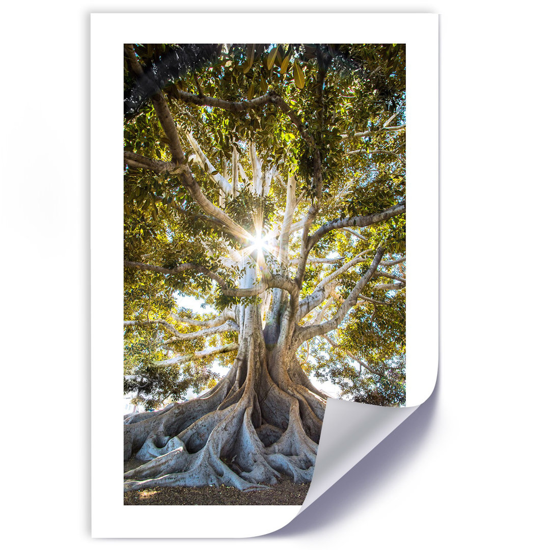 Fotodruck Large Exotic Tree