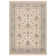 Atherine Oriental Indoor Rug