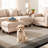 Modern Abstract Area Rug Soft Bordered Design-130879369-130879368