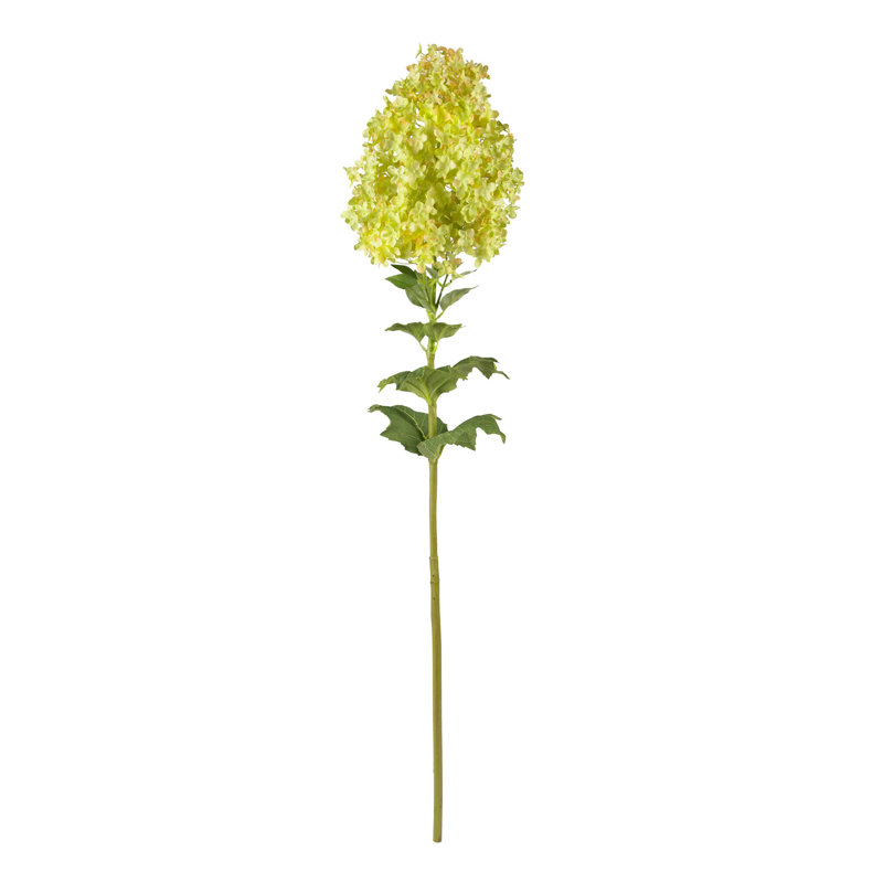 Hydrangea Arrangement, Green