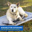 Lit pour chien The Original Cooling-307268569-307268575
