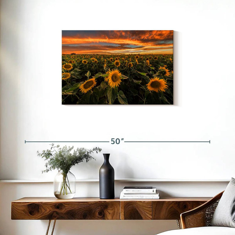 Alvord California Sunflower Field, 20" H x 30" W