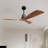 Keevagh Ceiling Fan
