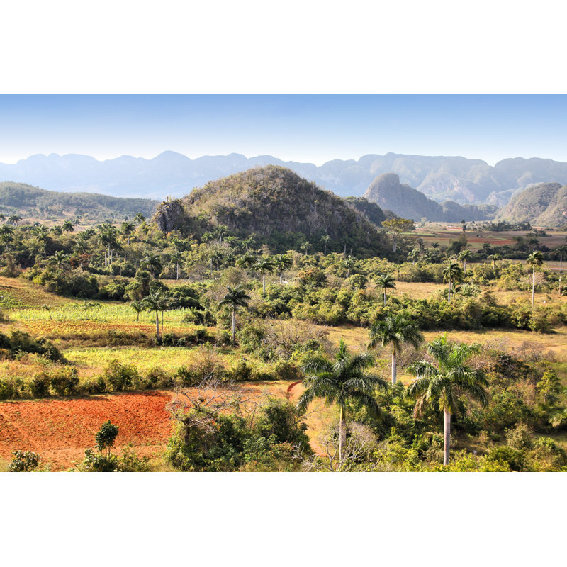 Cuba by Tupungato - Wrapped Canvas Print, 20cm H x 30cm W