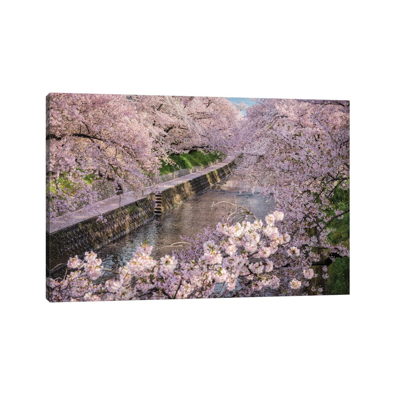 Spring In Japan XXXI by Daisuke Uematsu - Wrapped Canvas Gallery-Wrapped Canvas Giclée, 66.04 cm H x 45.72 cm W x 1.91 cm D