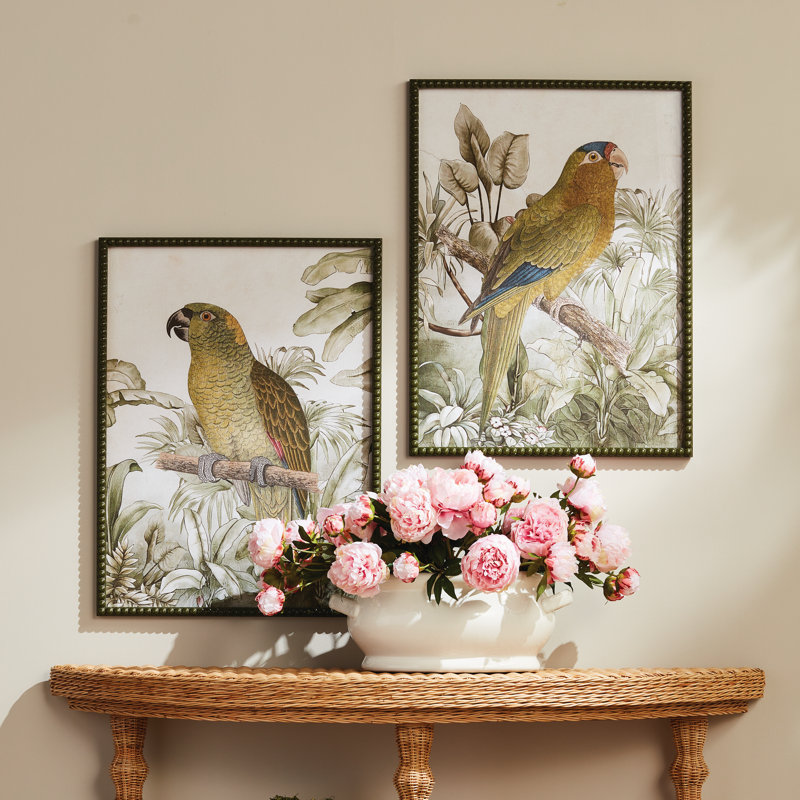 Ensemble de 2 impressions de perroquet tropicales