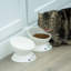 Ensemble de bols en porcelaine-113419243