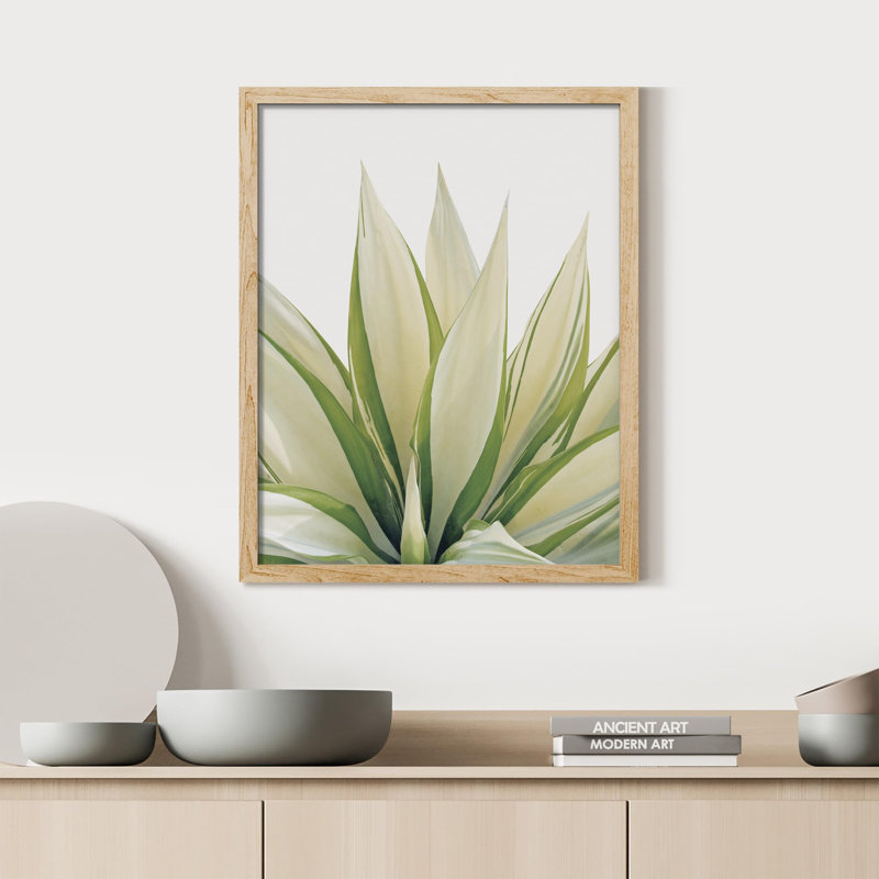 «Tropical Succulent Close Up Green Fan Leaf Desert» sur papier, H 10 po x l 8 po, Naturel