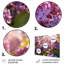 Mauve mauve, fleurs parfumées en V - impression sans cadre sur métal-21022135