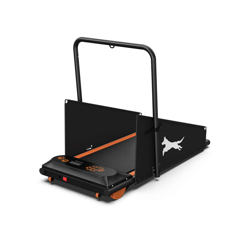 Machine d'exercice pour chien pour petits chiens