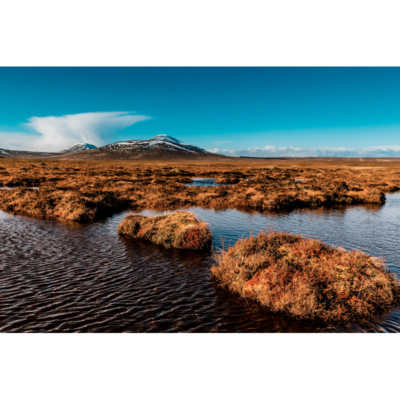 Scotland, 30cm H x 46cm W