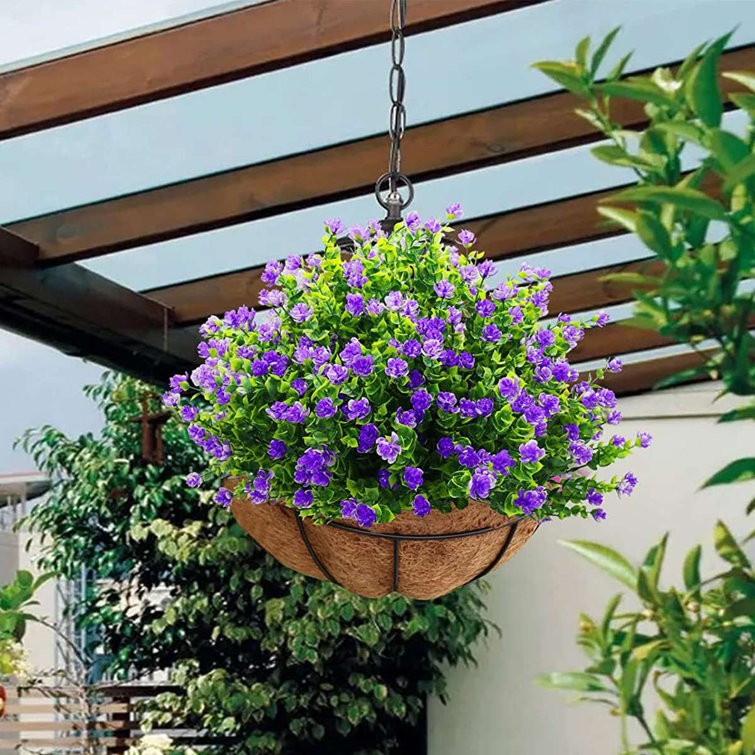 decorative outdoor plants