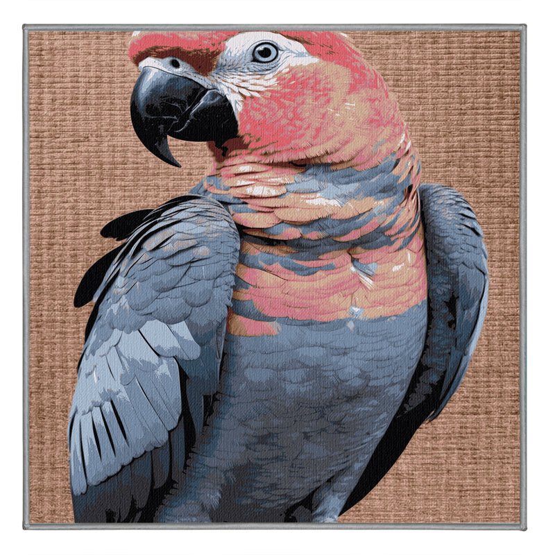  Tapis lavable Galah Birds, Carré 6 pi