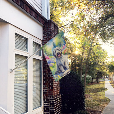 Taleus Double Sided 40'' H x 28'' W Polyester House Flag