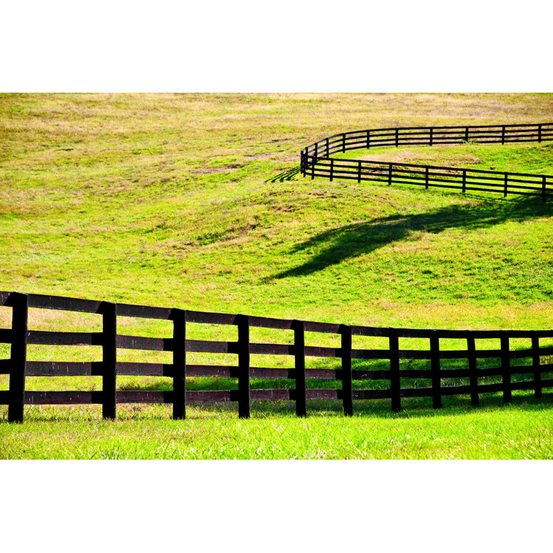 Pasture - Photographie sur toile tendue, H 20 po x l 30 po