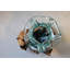 Terrarium de lotus